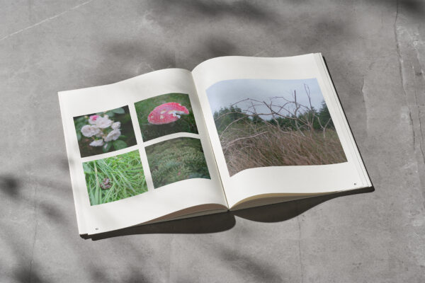 Denmark photobook - Image 4